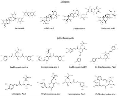 Developing a Rational, Optimized Product of Centella asiatica for Examination in Clinical Trials: Real World Challenges